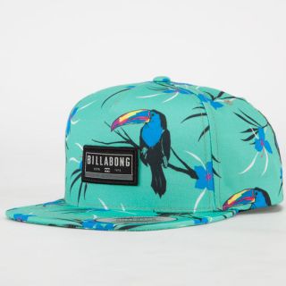 Toucan Too Mens Snapback Hat Mint One Size For Men 235253523