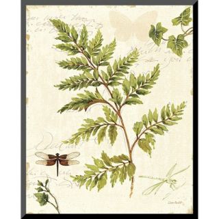 Art   Ivies and Ferns I Mounted Print