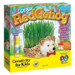 Creativity for Kids Grow A Hedgehog