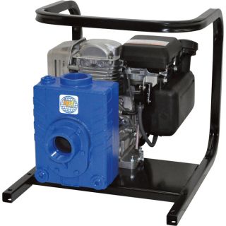 IPT Cast Iron Ag/Water Pump   127cc Engine, 2 Inch Ports, Model 2AG4ACV