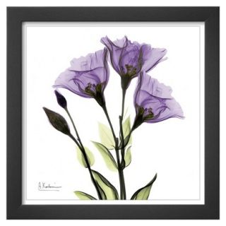Art   Gentian Trio in Purple Framed Print