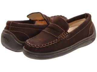 Primigi Kids Choate Boys Shoes (Brown)