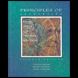 Principles of Accounting  Raising Issues and Providing Solutions (Cloth)