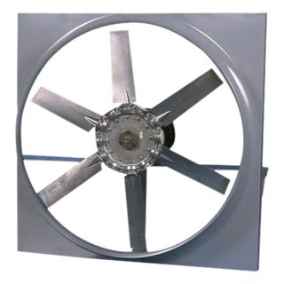 Canarm Direct Drive Wall Fan with Cabinet, Backguard and Shutter   30 Inch, 13,
