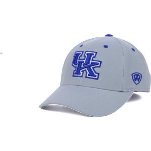 Kentucky Wildcats Top of the World NCAA Memory Fit Dynasty Fitted Hat