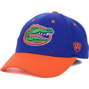 Florida Gators Top of the World NCAA Memory Fit Dynasty Fitted Hat