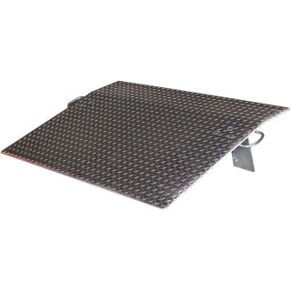 Vestil Economizer Dockplate   Aluminum, 5500 lb. Capacity, 42 Inch L x 60 Inch