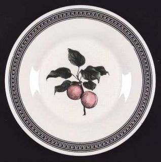 Pfaltzgraff Farmers Market Dinner Plate, Fine China Dinnerware   Black Border W/