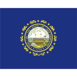 New Hampshire State Flag   4 x 6