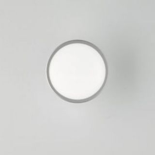 Jacky Wall or Ceiling Light