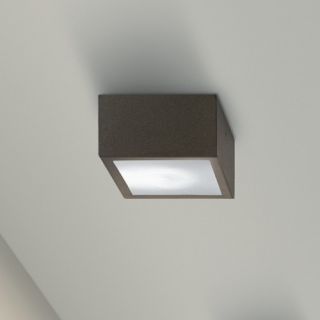 Four Outdoor Ceiling Light