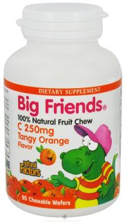 Natural Factors   Big Friends Chewable Vitamin C Tangy Orange Flavor 250 mg.   90 Chewable Wafers