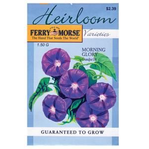 Ferry Morse Morning Glory Grandpa Heirloom Seed 3499