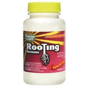 Green Light 2 oz. Rooting Hormone 06920A