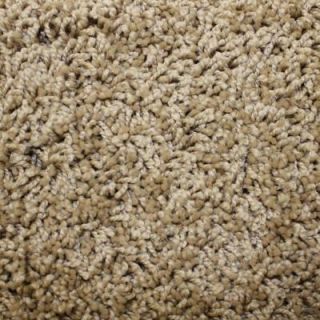 Home Decorators Collection Ryedale I Color Buccaneer 12 ft. Carpet HD050 TW5