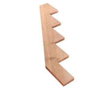 5 Step Outdoor Pressure Treated Stair Riser 538598