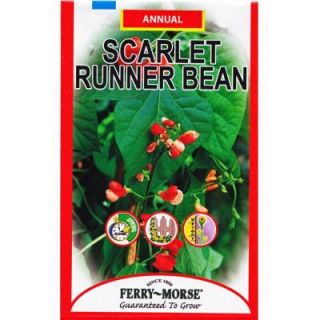 Ferry Morse 11.75 grams Scarlet Runner Bean Seed 1138