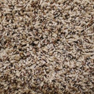 Home Decorators Collection Ryedale II   Color Havens Rest 12 ft. Carpet HD064 TW20