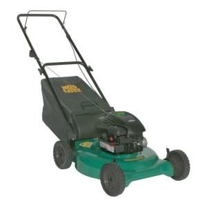 Weed Eater 21 in. Briggs & Stratton 2 in 1 Push Gas Walk Behind Lawn Mower DISCONTINUED 961320054