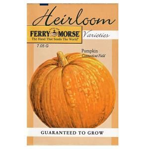 Ferry Morse Heirloom 7.05 Gram Pumpkin Connecticut Field Seed 3691