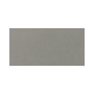 Daltile Plaza Nova Gray Fog 12 in. x 24 in. Porcelain Floor and Wall Tile (9.68 sq. ft. / case) PN9812241P