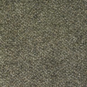 Spellbound II   Color Latte 12 ft. Carpet H2003 301 1200 AB