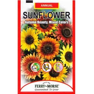 Ferry Morse Sunflower Autumn Beauty Seed 1498