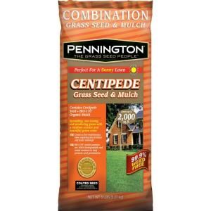 Pennington 5 lb. Centipede Grass Seed and Mulch 123130