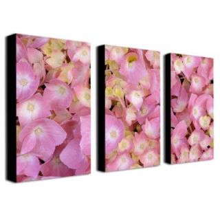 Trademark Fine Art 18 in. x 32 in. Pink Hydrangea by Kathie McCurdy 3 Piece Canvas Art Set KM0102 set