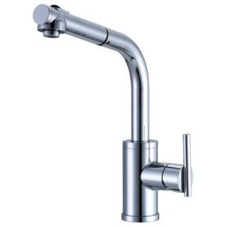 Danze Parma Single Handle Pull Out Sprayer Kitchen Faucet in Chrome D404558