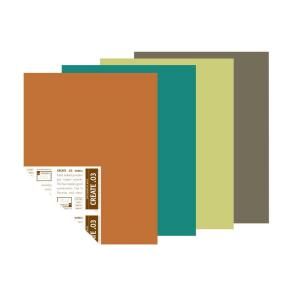 YOLO Colorhouse 12 in. x 16 in. Handcrafter Palette Pre Painted Big Chip Sample (4 Pack) 223400