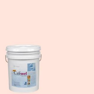 Caliwel Home & Office 5 gal. Clear Horizon Pink Latex Premium Antimicrobial & Anti Mold Interior Paint 850856s