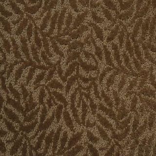 Home Decorators Collection Portico   Color Brown fox 12 ft. Carpet 2012PT10