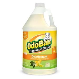 OdoBan 1 gal. Citrus Odor Eliminator and Disinfectant Multi Purpose Cleaner Concentrate 911661 G
