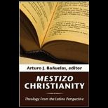 Mestizo Christianity  Theology from the Latino Perspective