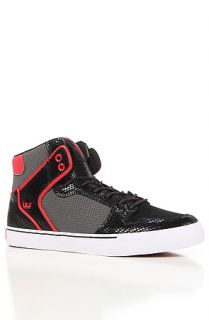 Supra Shoes Vaider in Grey, Black Snake and Red