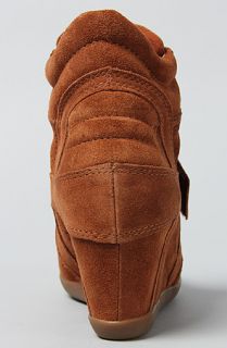 Ash Shoes The Bowie Sneaker in Camel Suede