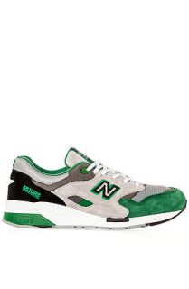 New Balance Sneaker Elite Edition 1600 in Grey and Green