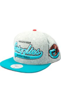 123STRAPBACKS Vancouver Grizzlies Tailsweeper Wool Strapback HatGrayTeal