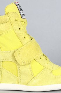 Ash Shoes The Bowie Sneaker in Yellow Suede and Canvas