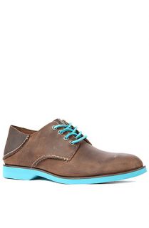 Sperry Topsider Shoe Oxford Neon in Brown and Blue