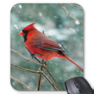 Cardinal in the Snow Photo Mousepad
