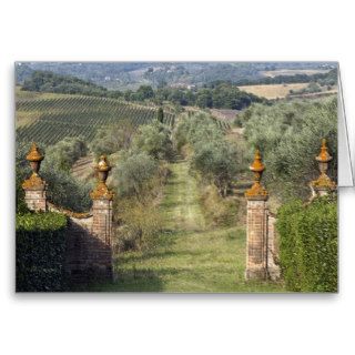 Vineyards, Tuscany, Italy Cards