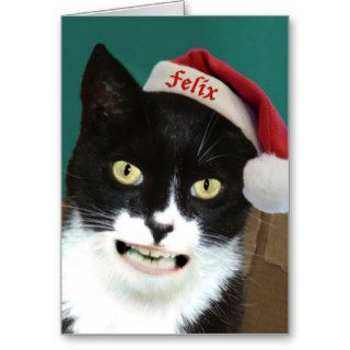 Felix Navidad Santa Cat Christmas Cards