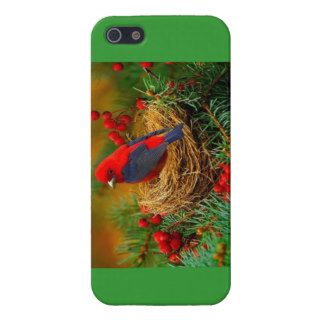 Bird in Nest iPhone Case iPhone 5 Cover