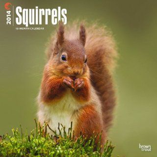 Squirrels   2014 Calendar  