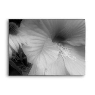 Hibiscus Flower In Black And White Envelope