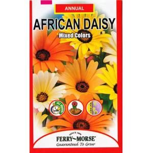 Ferry Morse African Daisy Mixed Colors Seed 1002