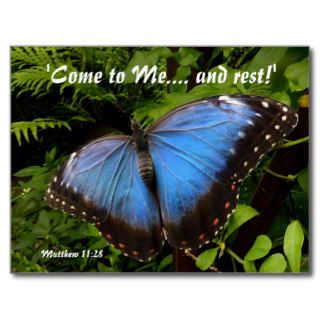 Blue exotic butterfly postcard