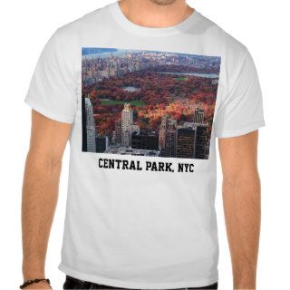 A view above Autumn in Central Park 01 Tshirt